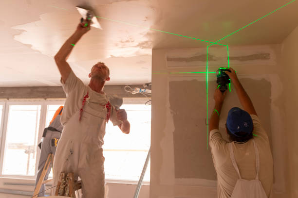 Best Drywall Sanding and Smoothing  in Buffalo, NY